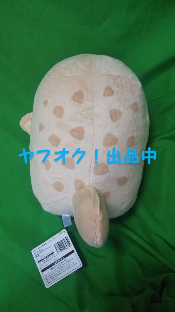 よこみぞゆりの なんでもいきもの 大さんせいうお オオサンショウウオ BIGぬいぐるみ 30cmくらい プライズ品 送料無料_画像2