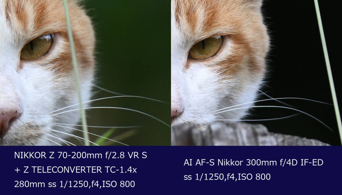 【中古良品】NIKON Ai AF-S Nikkor 300mm f4 D IF-ED [ライトグレー]の画像8
