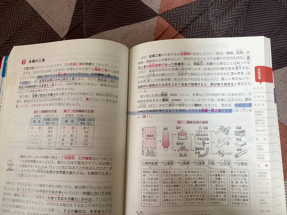 大学入試共通テスト　地理Bの点数が面白いほどとれる本　瀬川聡_画像4