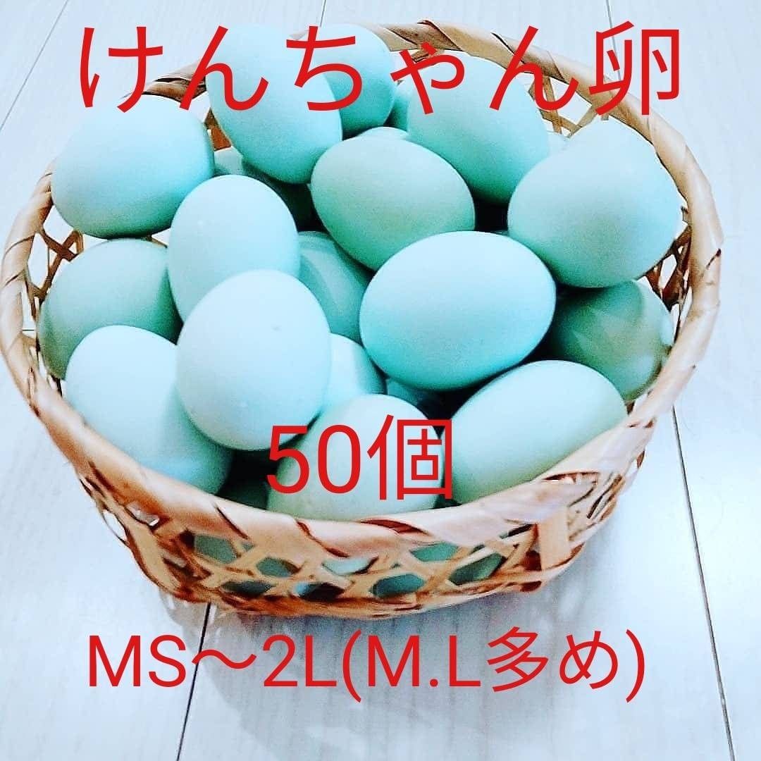 けんちゃん卵MS～2L(M.Lサイズ多め) 50個  朝採れ 平飼い あすなろ卵