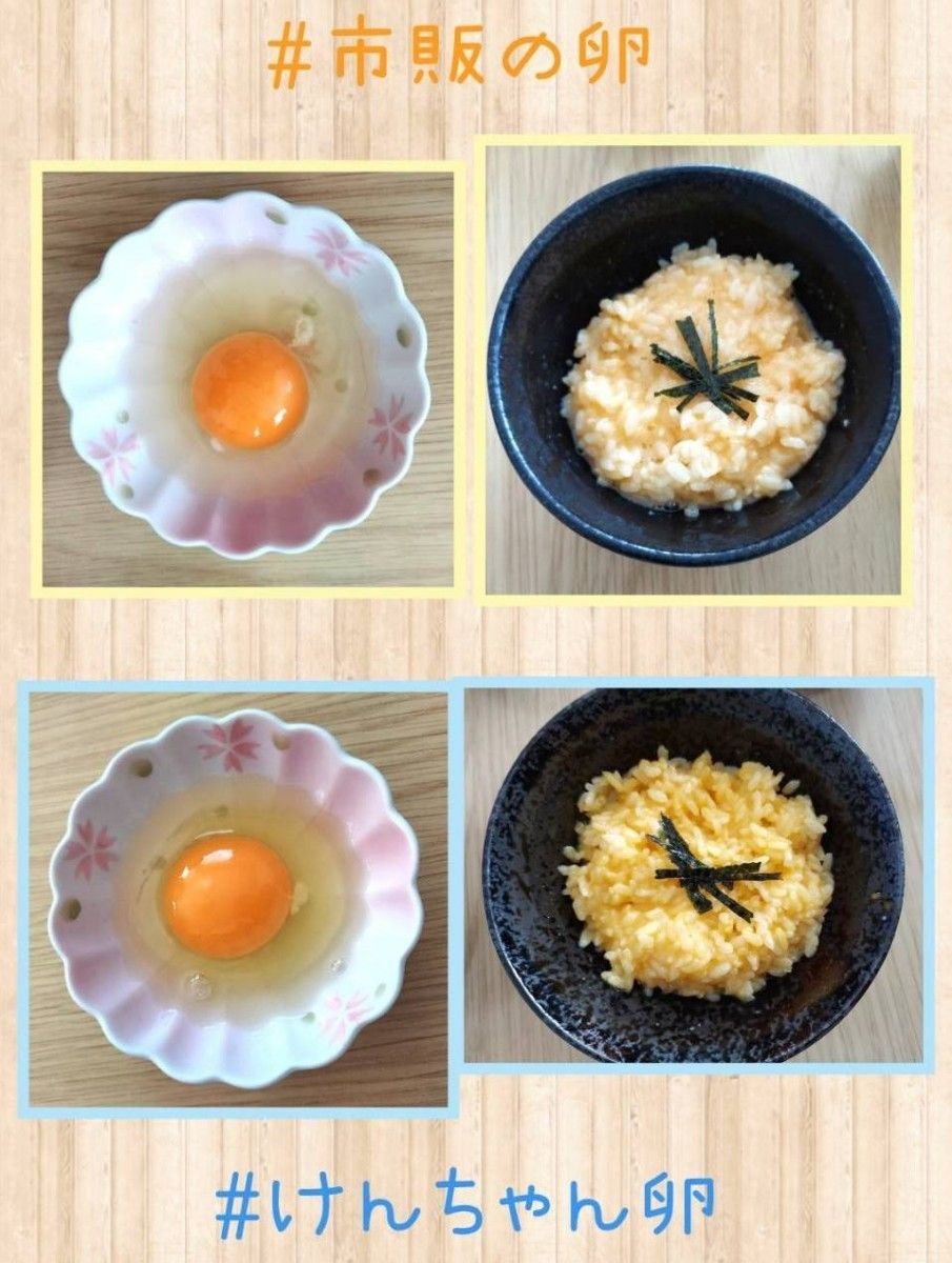 けんちゃん卵MS～2L(M.Lサイズ多め) 50個  朝採れ 平飼い あすなろ卵