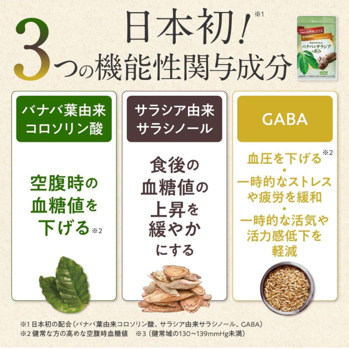 和漢の森 バナバ＆サラシアの恵み（2袋） 30粒 機能性表示食品 錠剤 バナバ サラシア GABA 空腹時血糖値を下げる 血圧ケア