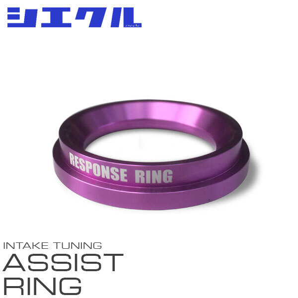 siecle シエクル アシストリング アルファード MNH10W MNH15W H17.4~H20.5 1MZ-FE 3.0 RR05TP