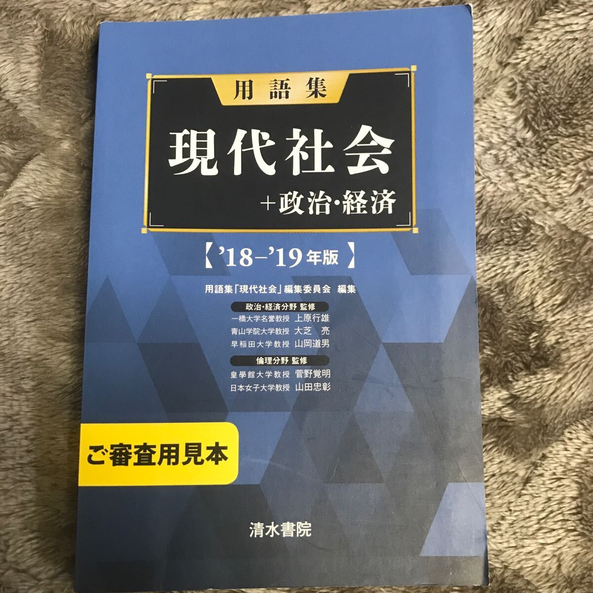 用語集 現代社会+政治経済 清水書院_画像1