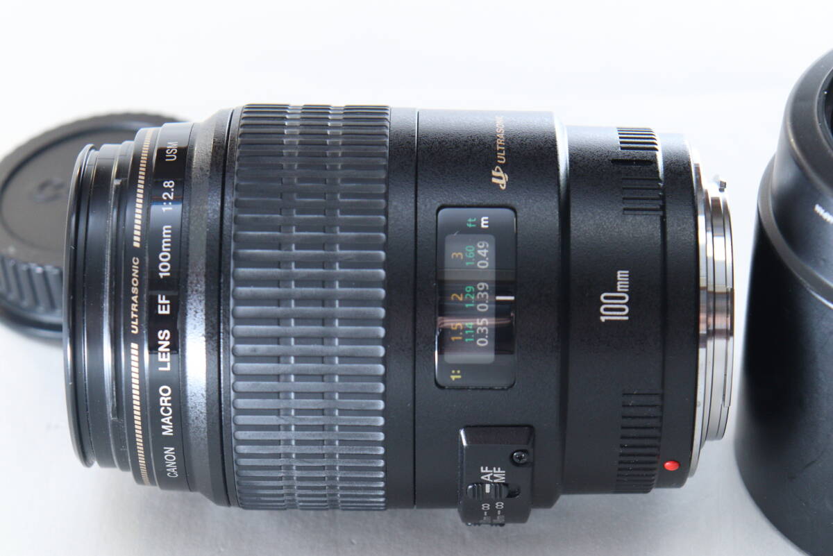 EF 100mm F2.8 MACRO USM レンズフード付き！の画像3