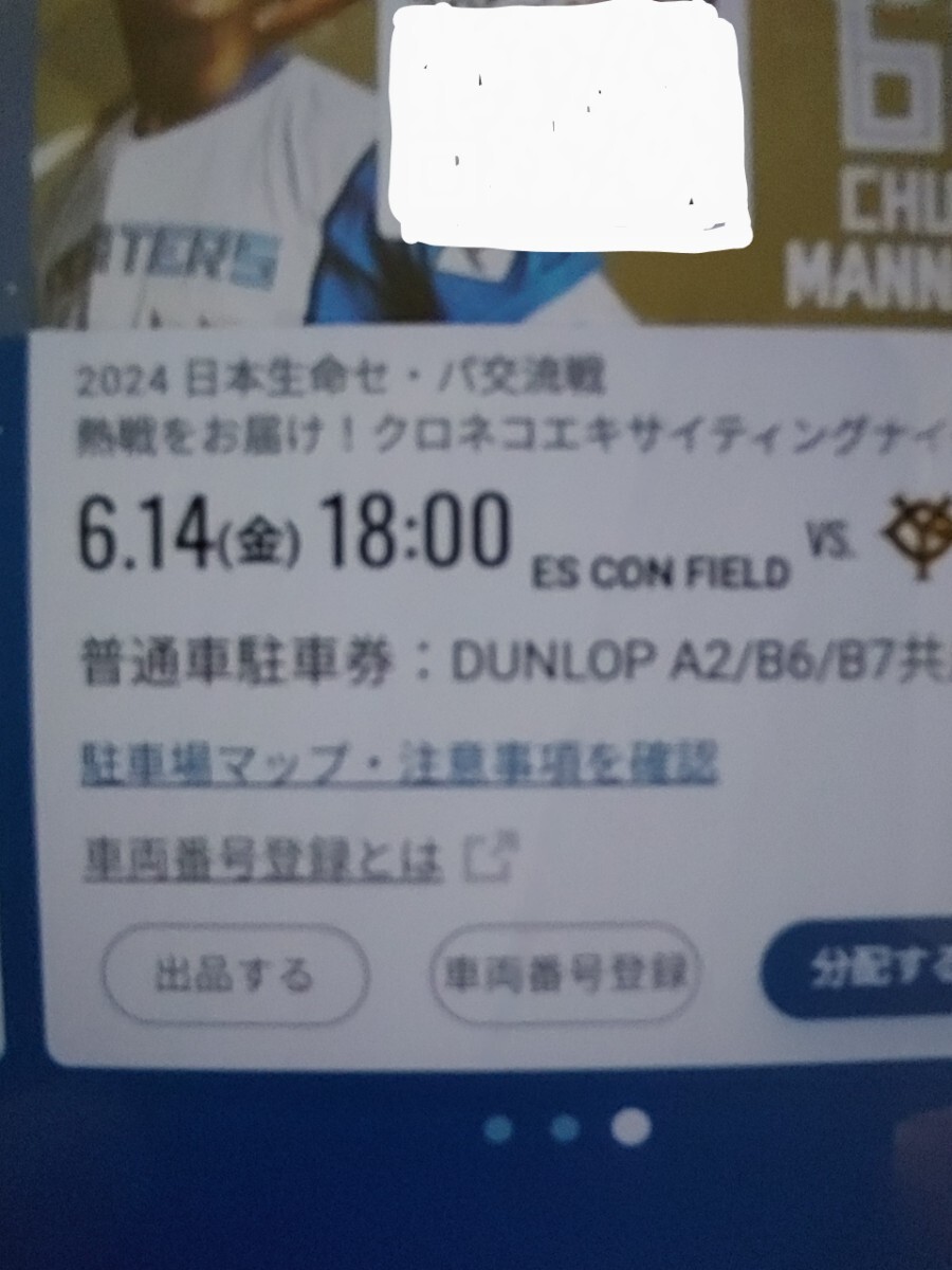 6月14日(金)　エスコンフィールド北海道日本ハム対ジャイアンツ　普通車駐車券 DUNLOP　A2/B6/B7共用 