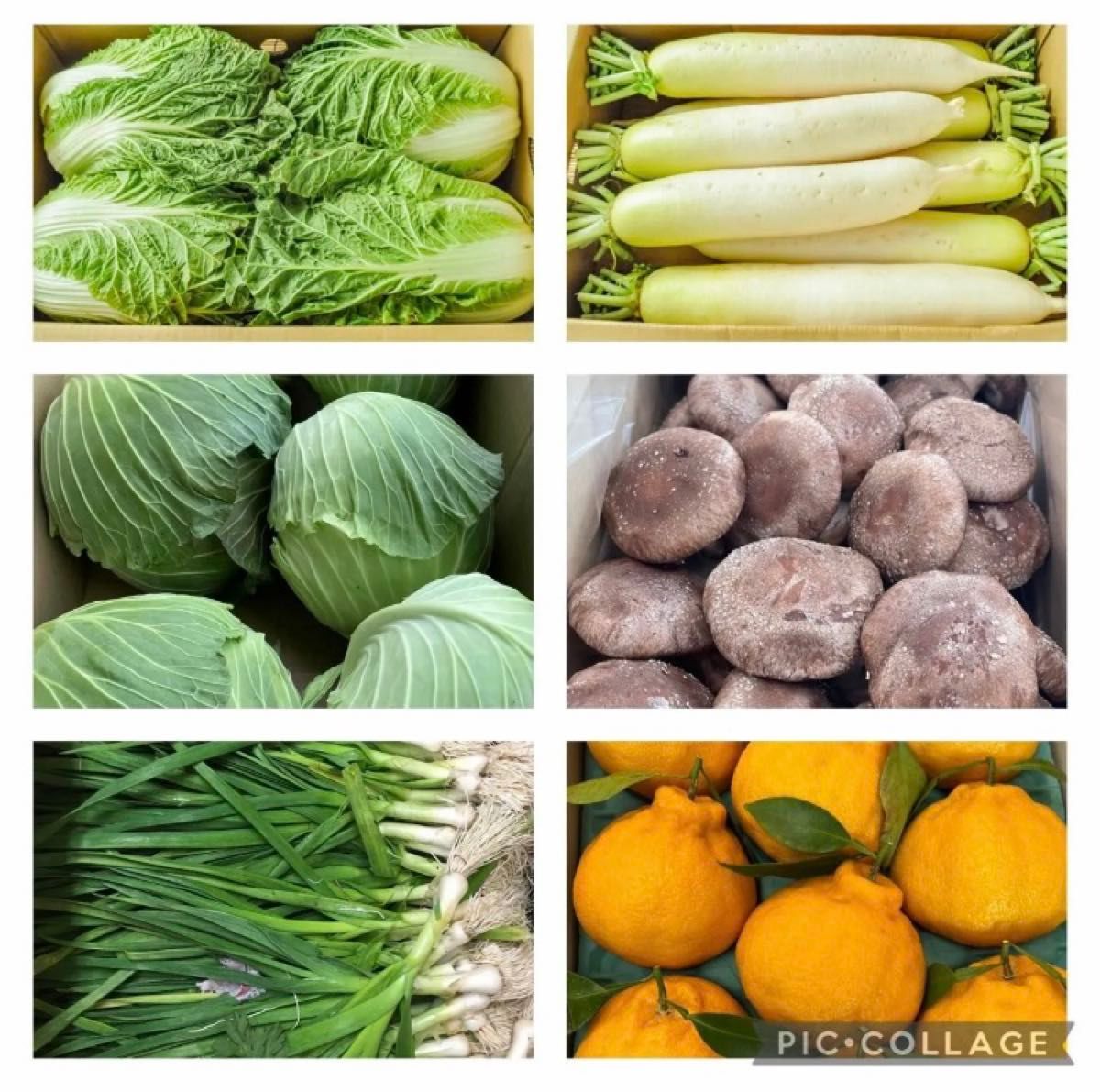 野菜フルーツ盛り合わせ　新鮮野菜フルーツ詰め合わせ　100サイズダンボール箱いっぱい　旬の野菜　旬のフルーツ　果物　キャベツ　白菜