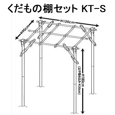 (送料無料) くだもの棚セット KT-S 第一ビニール DAIM 小型 フルーツ栽培キット (パーゴラ キウイ棚 ぶどう棚 葡萄棚 園芸棚 藤棚) sakaの画像2