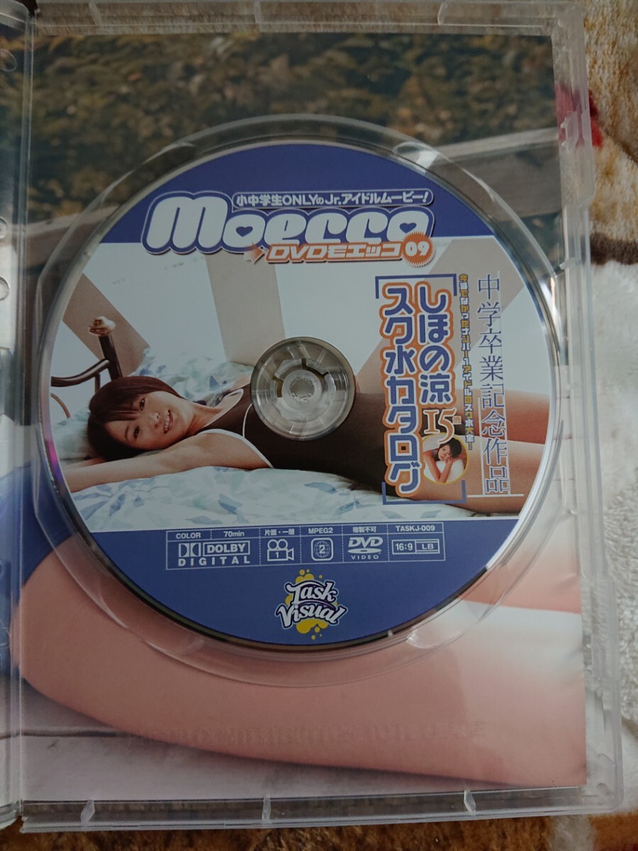 moecco しほの涼 スク水カタログ アイドル DVD_画像3