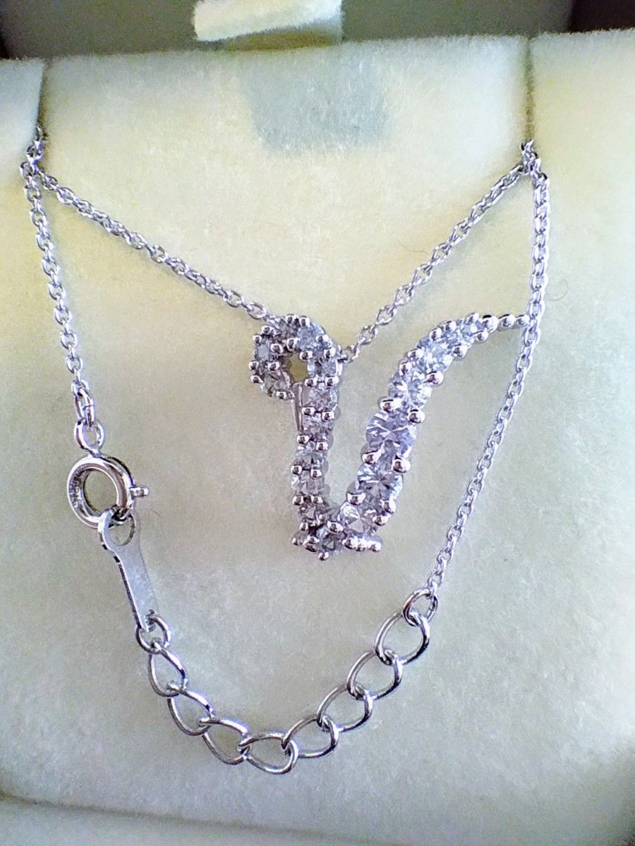 TASAKI タサキ 田崎 スワン ネックレス シルバー925 美品 TASAKI タサキ 田崎 スワン ネックレス シルバー925 美品