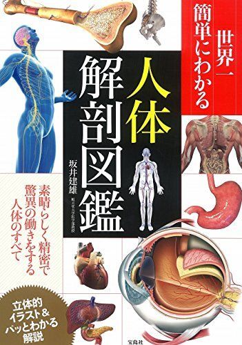 [A11006229]世界一簡単にわかる人体解剖図鑑_画像1