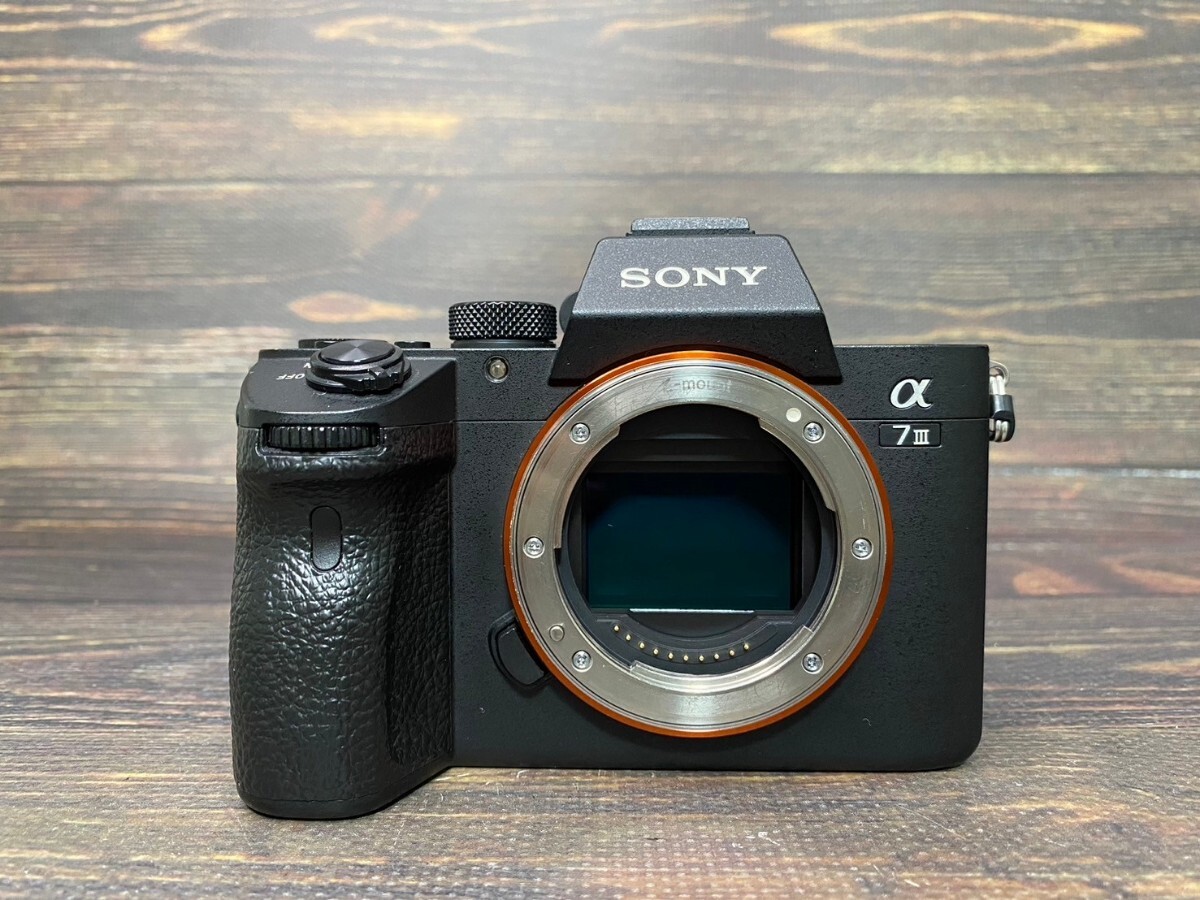 SONY ソニー α7III ILCE-7M3 ボディ ミラーレス一眼カメラ ケース 元箱付き #22の画像2