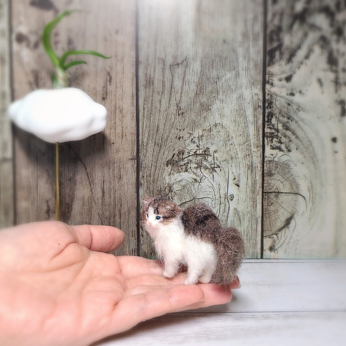 やんのかステップ豆ネコ＊長毛猫 羊毛フェルト ハンドメイド 猫 子猫 ドールハウス ミニチュア ブライス ペット _画像3