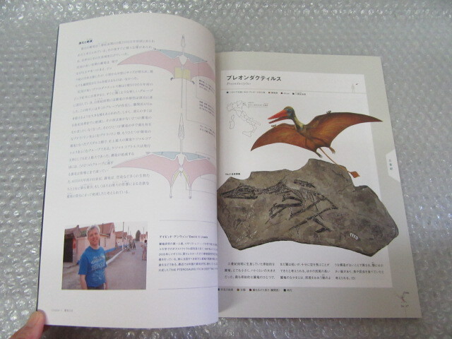  dinosaur / world maximum. wing dragon exhibition / dinosaur era. empty. main distribution person / morning day newspaper company /2007 year / rare rare 