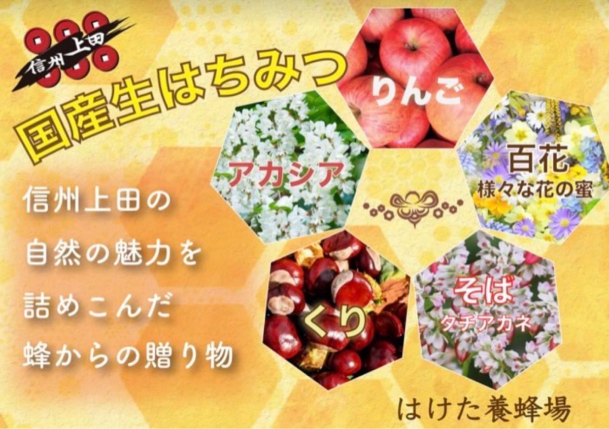 アカシア 生はちみつ 600g 国産　蜂蜜 【生産者直送】