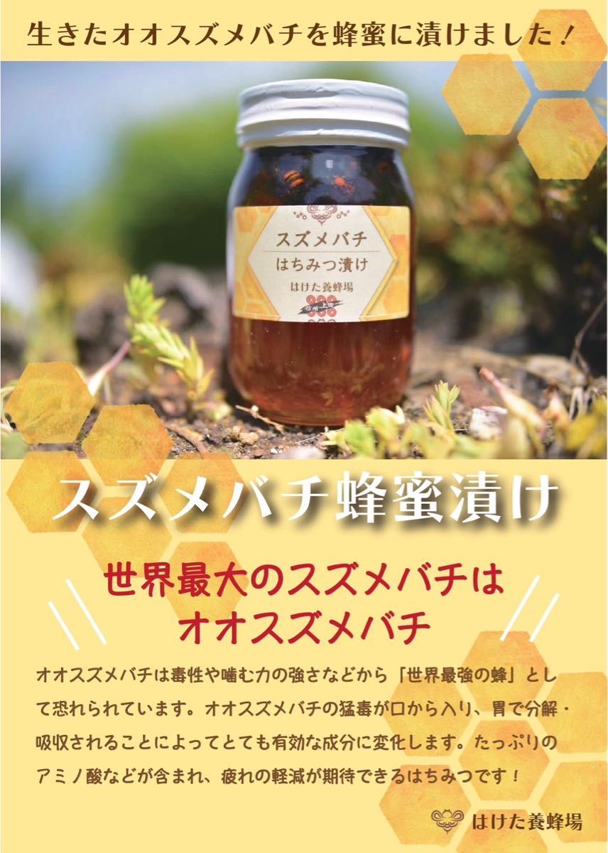 オオスズメバチ はちみつ漬け 生はちみつ 600g 国産　蜂蜜 【生産者直送】