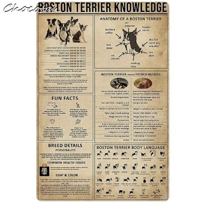 [ free shipping ] Boston terrier ⑩ illustrated reference book metal autograph plate [ new goods ]