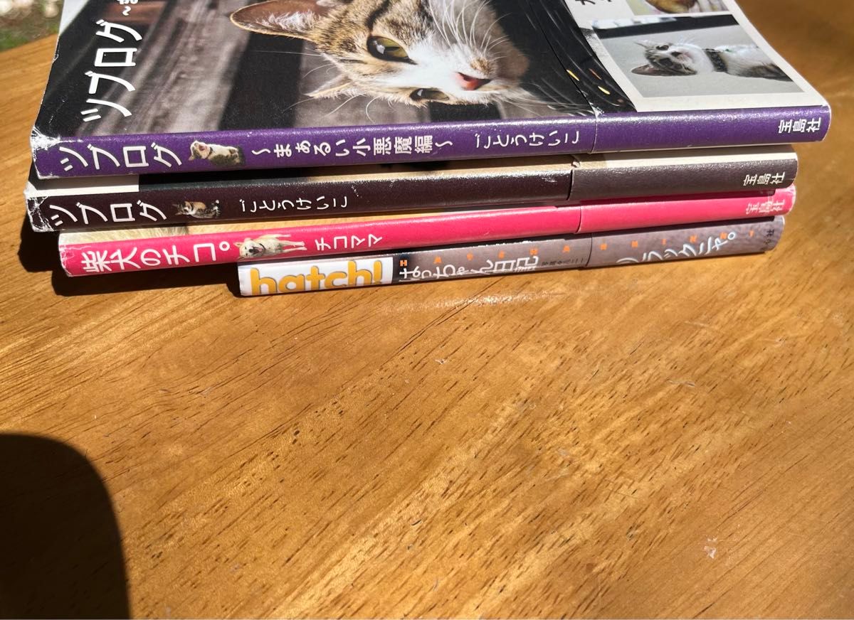 ツブログ　はっちゃん日記　柴犬のチコ。　4冊セット　まとめ売り　 猫　ブログ　写真集