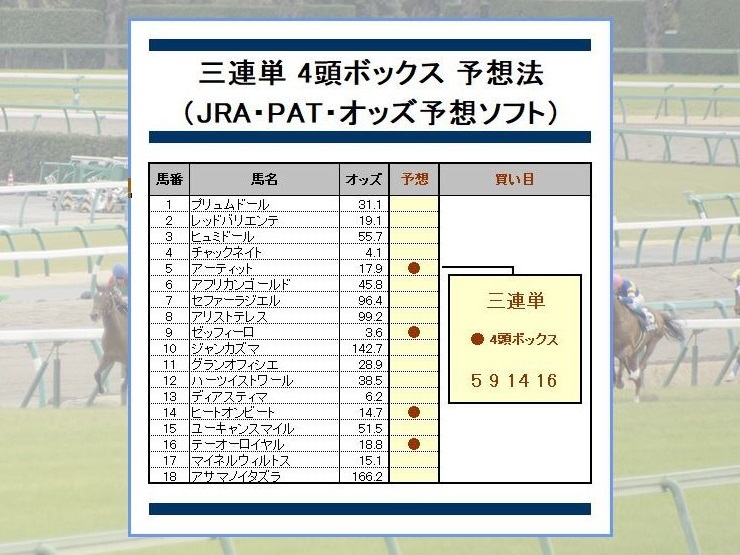 ＿＿三連単で248万円稼いだ競馬予想法＿＿回収率345%～1740%＿＿（JRA・PAT・予想ソフト）の画像1