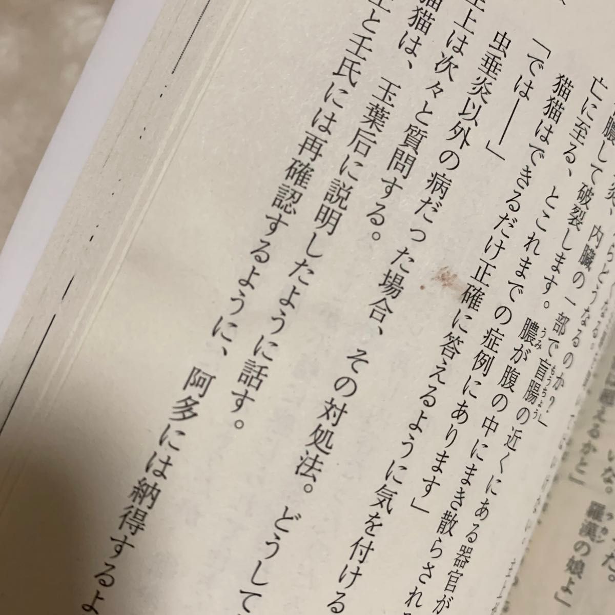 薬屋のひとりごと 15 (ヒーロー文庫) 日向夏/〔著〕 文庫 薬屋のひとりごと 15 (ヒーロー文庫) 日向夏/〔著〕 文庫