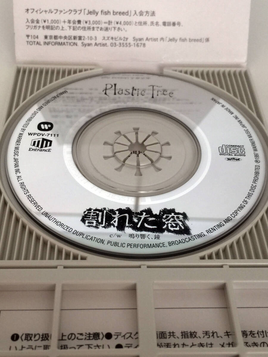 即決 8cmシングルCD Plastic Tree 割れた窓 鳴り響く、鐘 即決 8cmシングルCD Plastic Tree 割れた窓 鳴り響く、鐘
