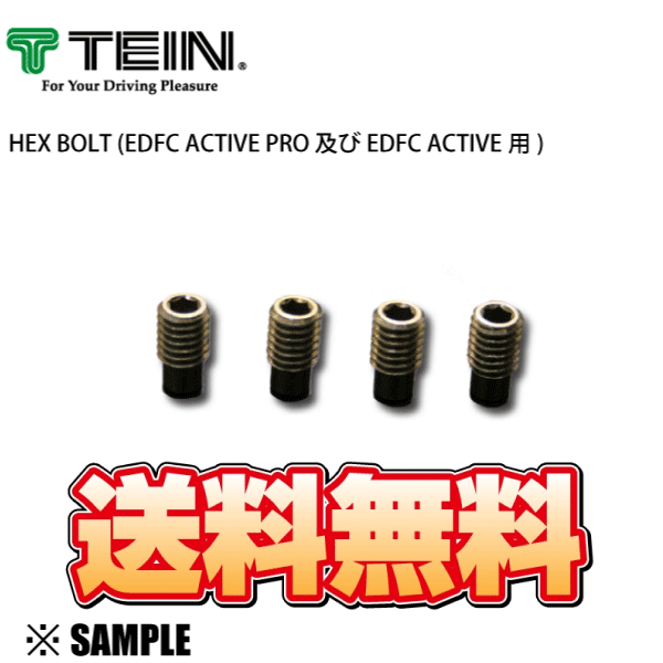 正規品 TEIN TEIN HEX BOLT EDFC ACTIVE/PRO用 4個入り ヘックスボルト 補修パーツ テイン(SAP44-P8463-4Sの画像2