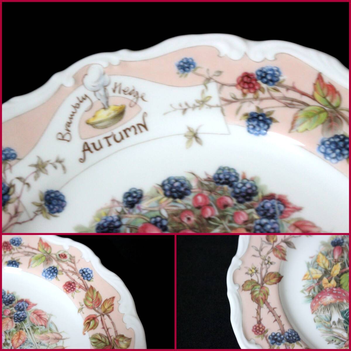 [ROYAL DOULTON/ Royal Doulton ] Blanc Berry hedge [AUTUMN( autumn )/ approximately 21cm plate 1 sheets ]{ beautiful goods } England / wheel flower medium-sized dish / records out of production / rare /BVT3690