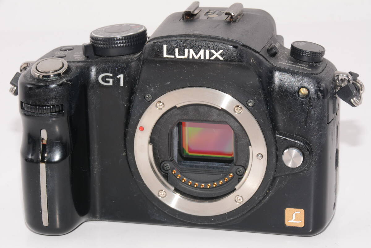 【外観特上級】Panasonic LUMIX G1　#t12220