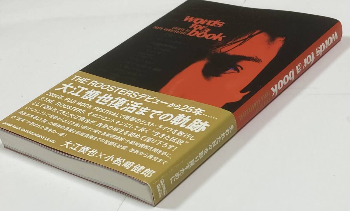 大江慎也  words for a book   ザ・ルースターズ  デビューから復活までの軌跡  2005年  シンコーミュージック  帯付き良品！の画像3