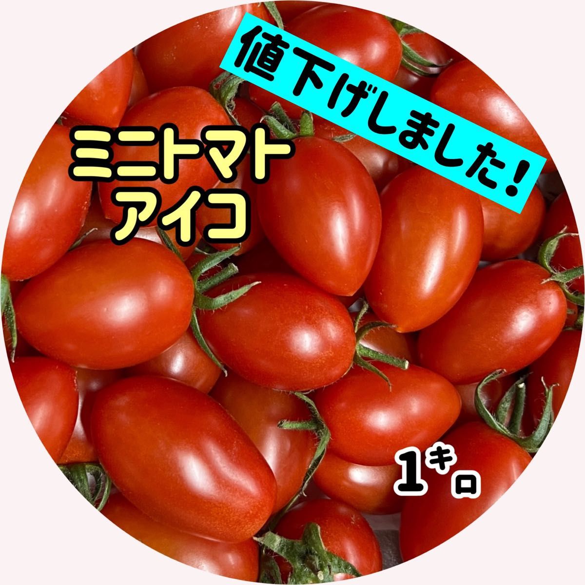 m-31【好評 産直】新鮮ミニトマト アイコ 1㌔