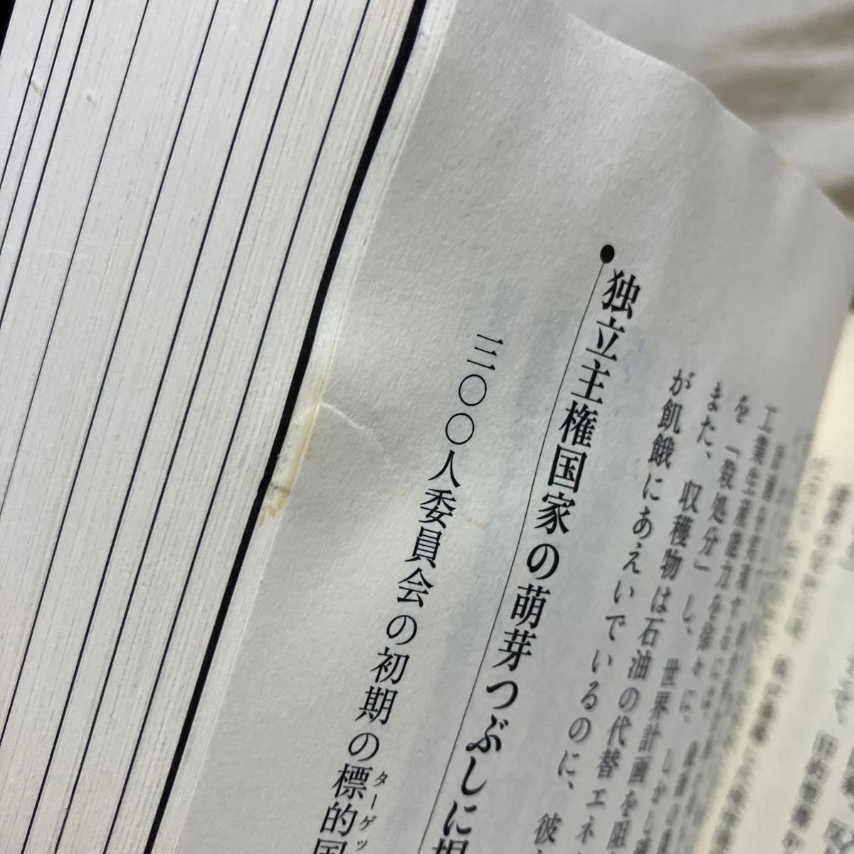 ３００人委員会　上 （新版３００人委員会　上） （新版） ジョン・コールマン／著　太田竜／監訳