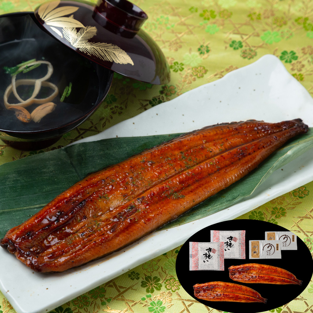 [ mountain road . eel place ] Miyazaki prefecture production ...2 tail total 360g(.. attaching )