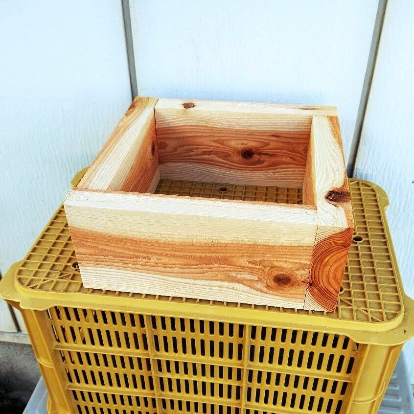 日本蜜蜂 巣箱材 杉 120mm 24枚 ビスセット 重箱式 巣箱 継箱 ミツバチ みつばちの画像4