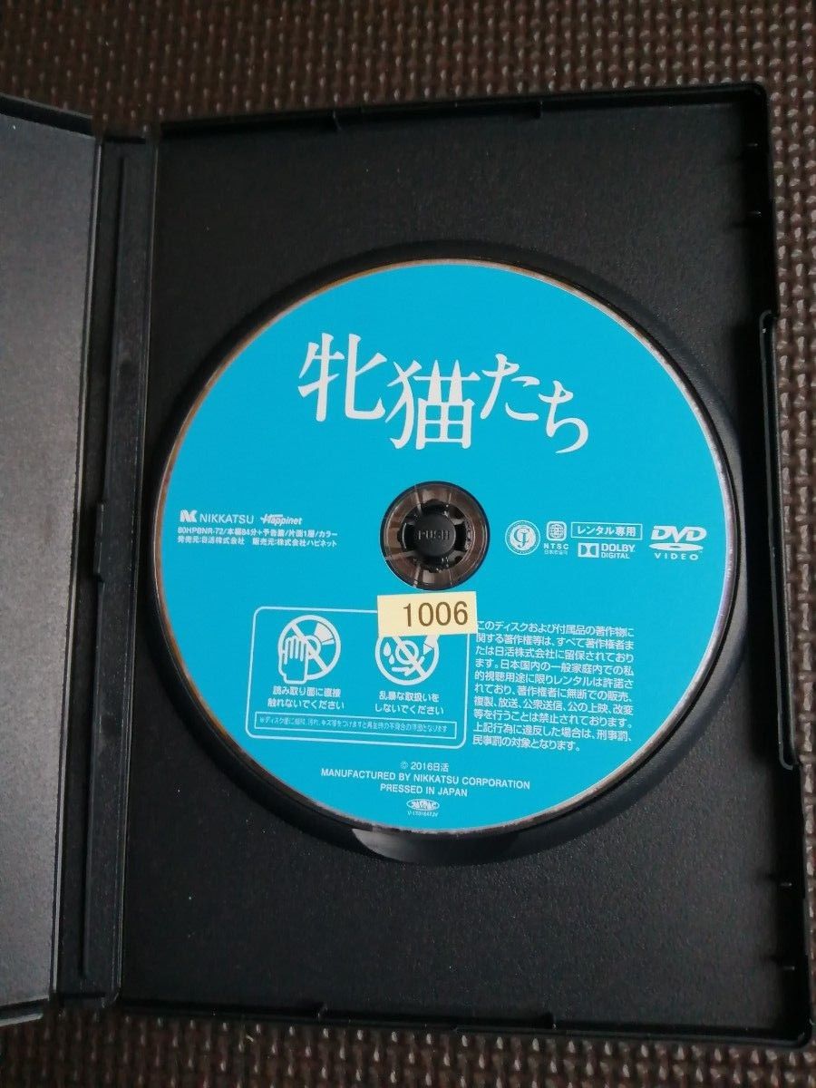 再値下げ！DVD 牝猫たち 監督  白石和彌 主演  井端珠里