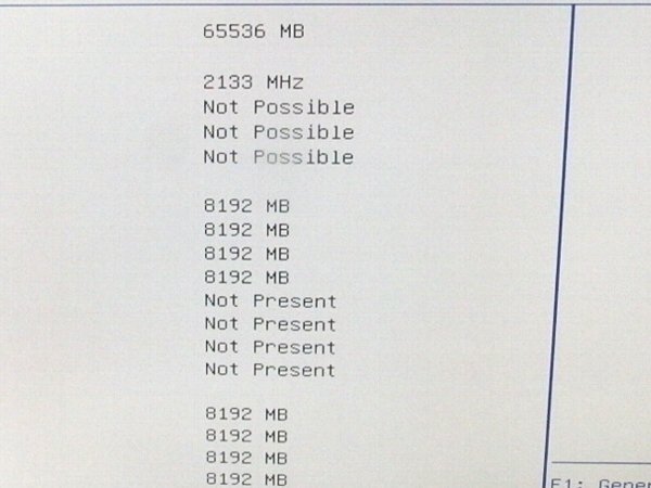 ■○ SSD 200GB×2/RAM 64GB NEC Express5800/R120g-1E N8100-2428Y E5-2630 V4 2200MHz×2基/BIOS起動確認済の画像10