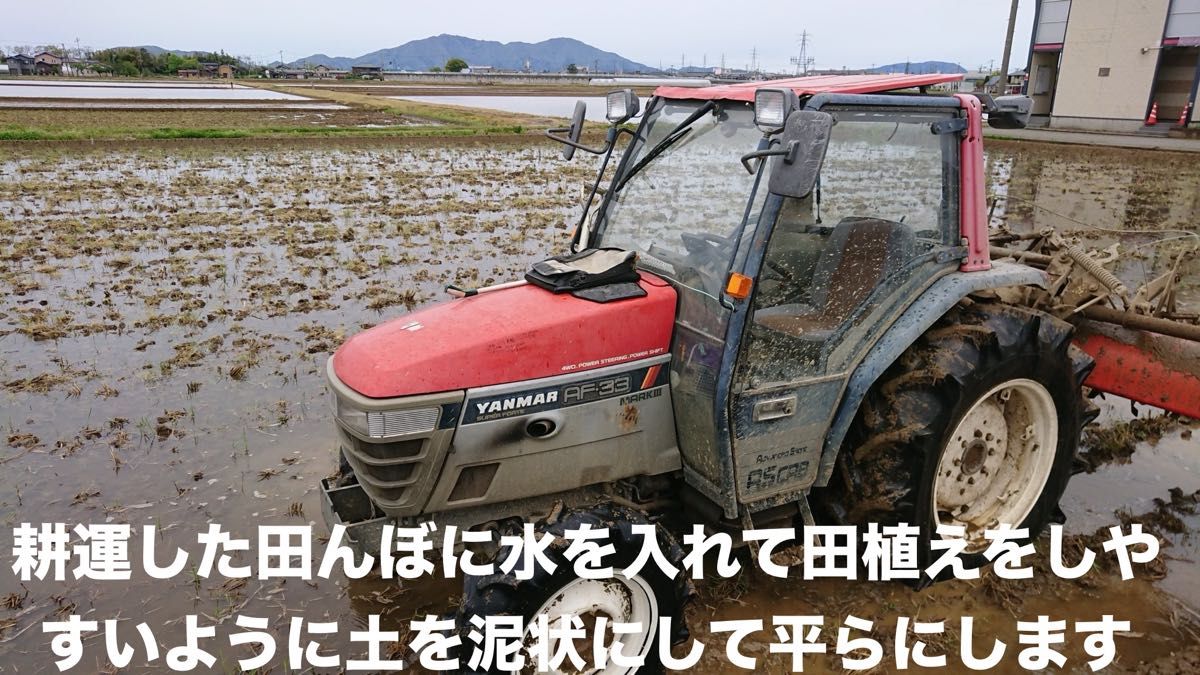 特別栽培 新潟の高級米 新之助 玄米 30㌔  新潟県産 田植え後農薬は除草剤のみ 時間帯指定承ります！