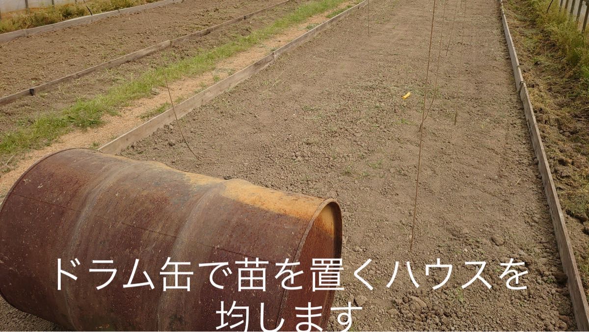 特別栽培 新潟の高級米 新之助 玄米 30㌔  新潟県産 田植え後農薬は除草剤のみ 時間帯指定承ります！