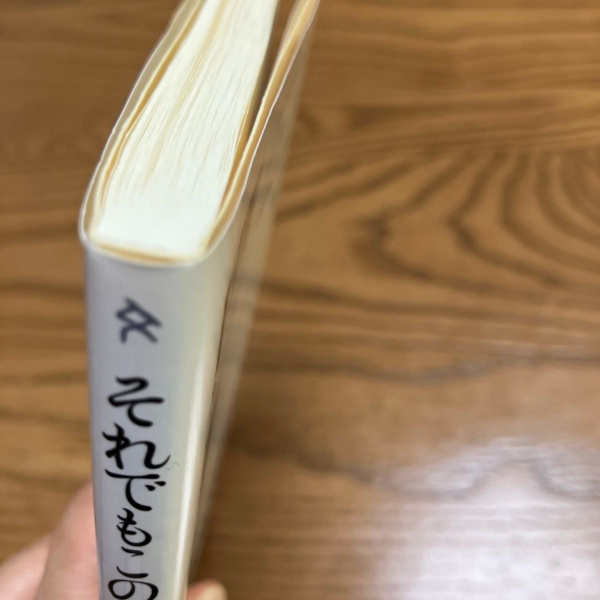 それでもこの世は悪くなかった （文春新書　１１１６） 佐藤愛子／著