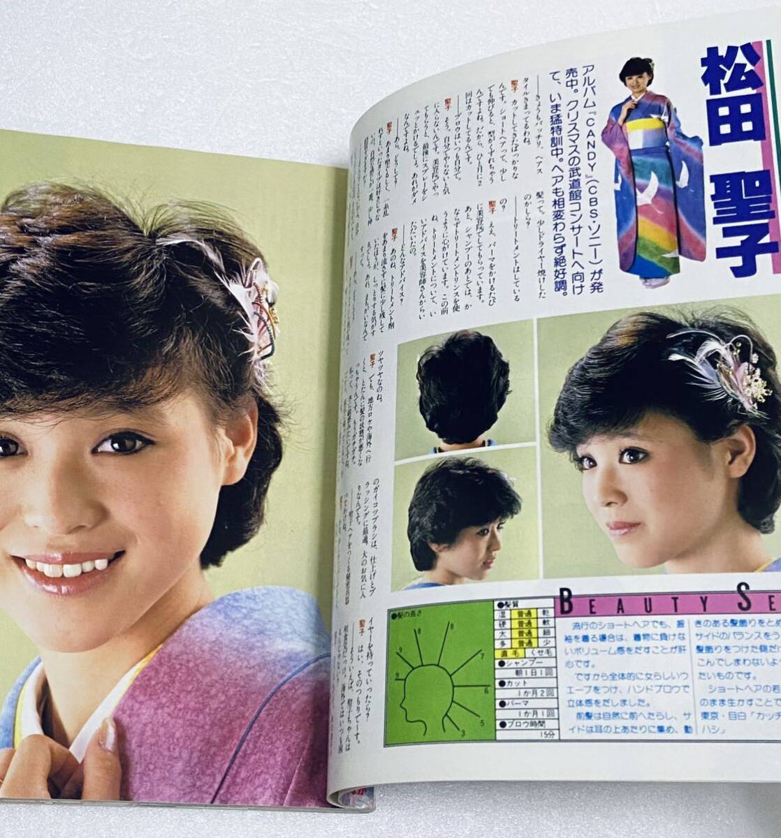 明星ヘアカタログ 1983年 昭和58年 冬の号 少年隊 松田聖子 中森明菜 河合奈保子 小泉今日子 原田知世 他 昭和アイドル雑誌ビンテージレア_画像6