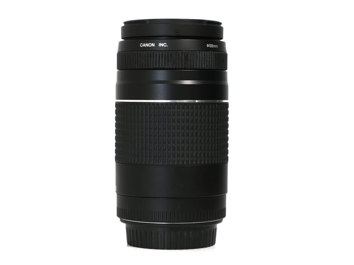 CANON EF 75-300mm F4-5.6 III USM