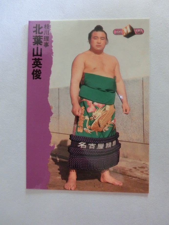 BBM　大相撲カード　1998年版　枝川理事　北葉山　113　_画像1