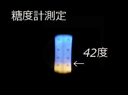 14料理人のこだわり黒にんにく”糖度40度超、味もしっかり/小分け500g専用BOX_MAX42度