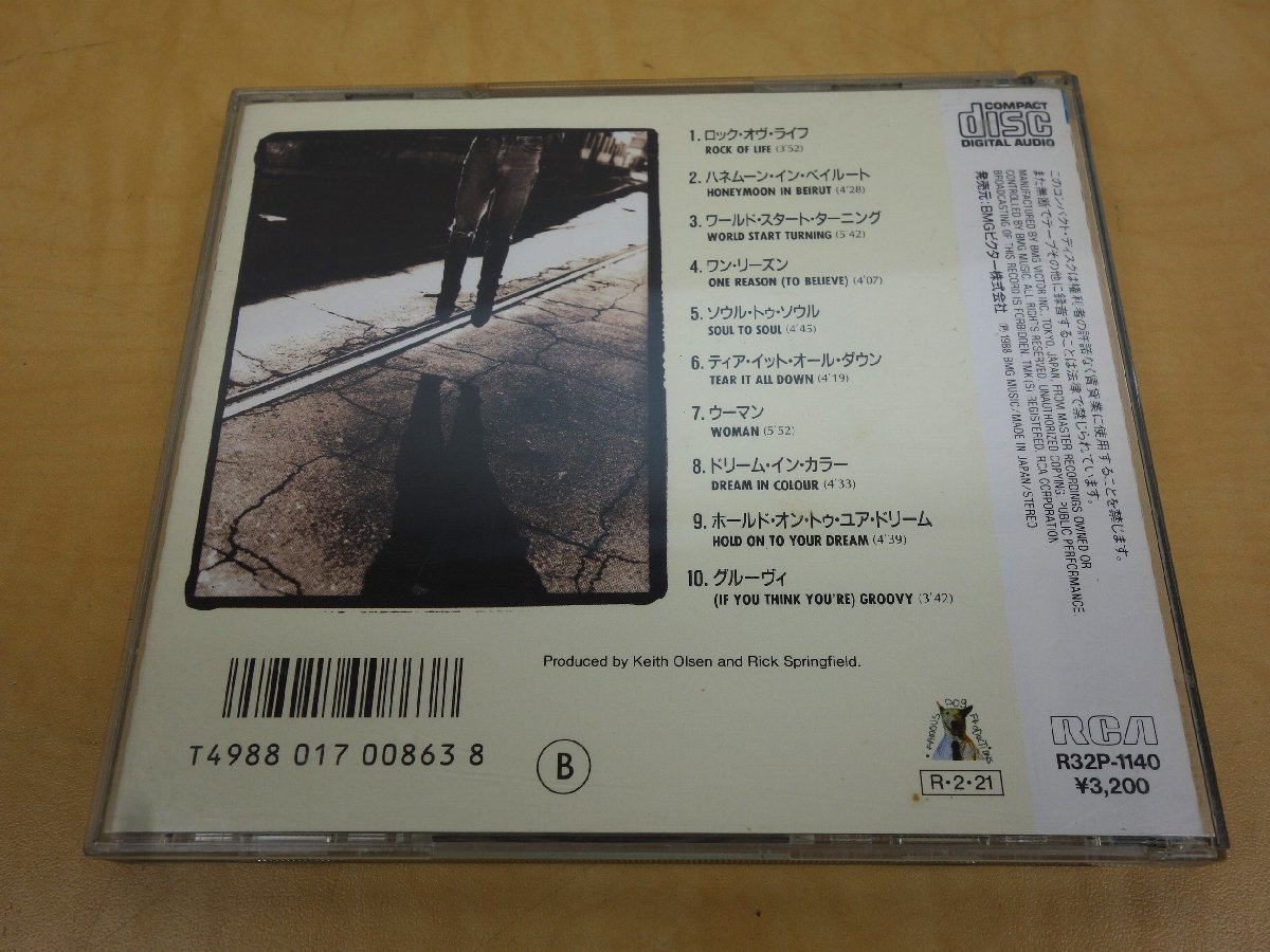 CD RICK SPRINGFIELD リック・スプリングフィールド Rock Of Life R32P-1140の画像6