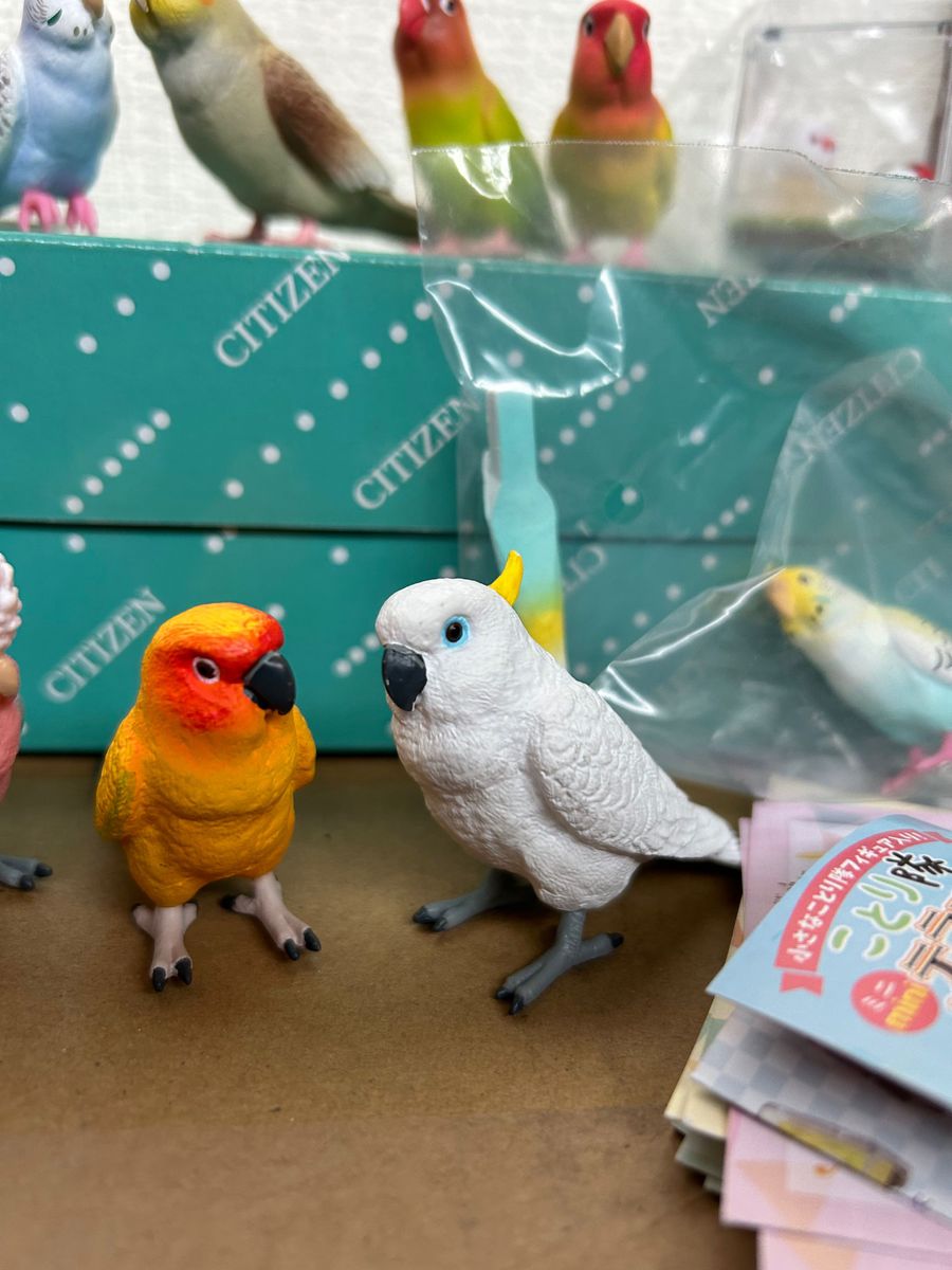 手のりインココレクション ことり隊テラリウム セキセイインコ ボタン コザクラ オカメ キバタン モモイロ ガチャガチャ