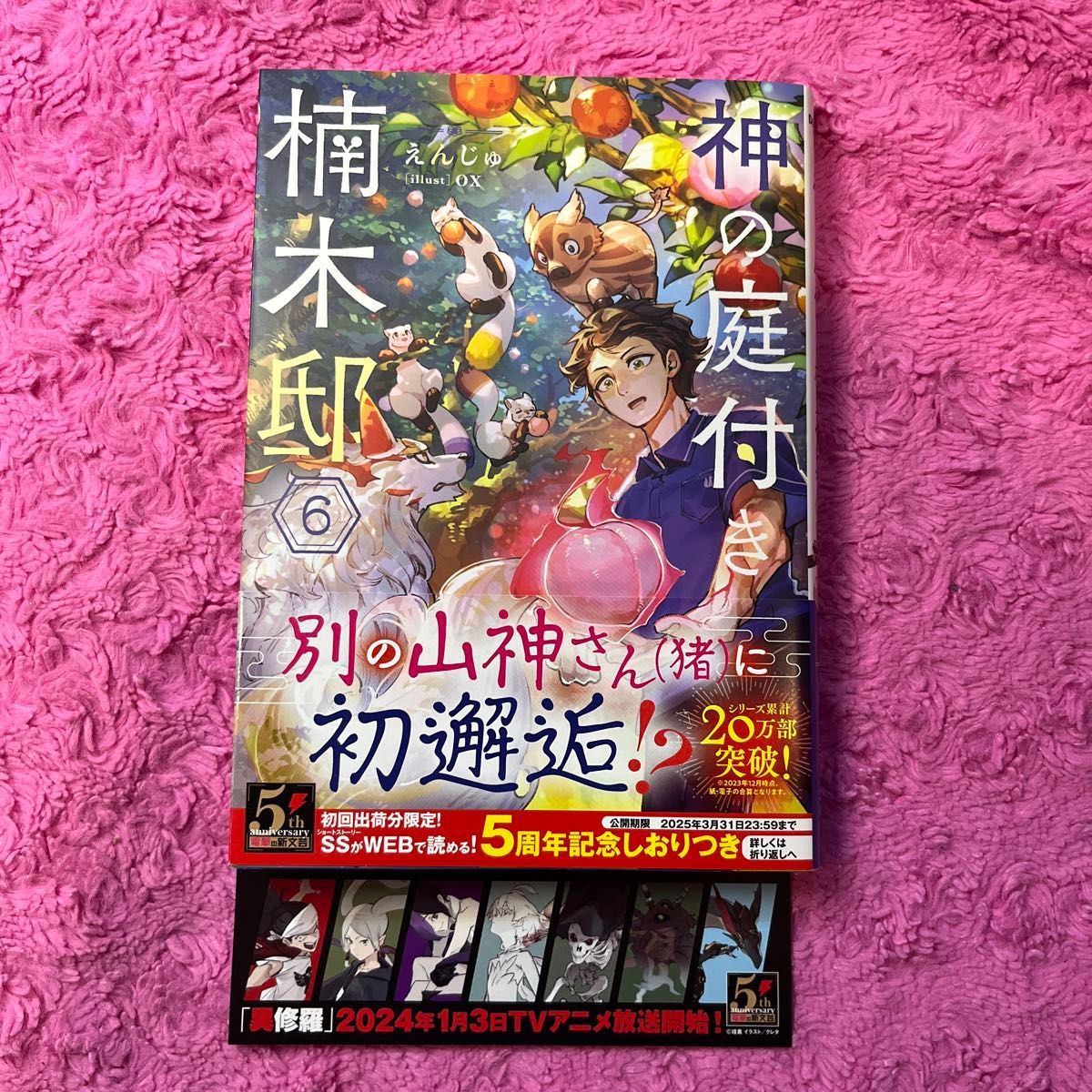 神の庭付き楠木邸　６ （ＤＥＮＧＥＫＩ　電撃の新文芸） えんじゅ／著