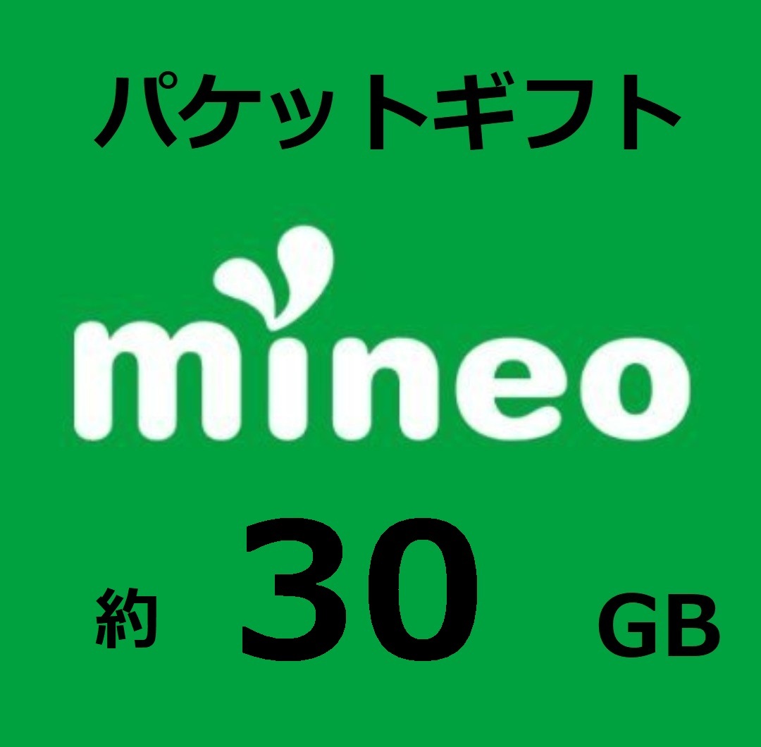 約30GB(29997MB)　　マイネオ mineo パケットギフト　複数購入可_画像1