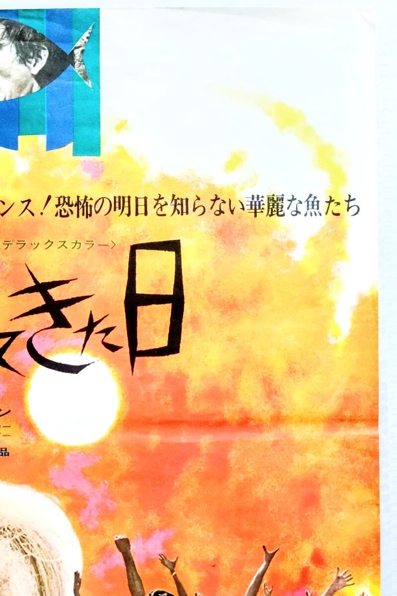 Ｂ2ポスター「魚が出てきた日」SF映画ポスター.監督:マイケル・カコヤニス.主演:キャンディス・バーゲン.トム・コートネイ.1967年作品_画像3