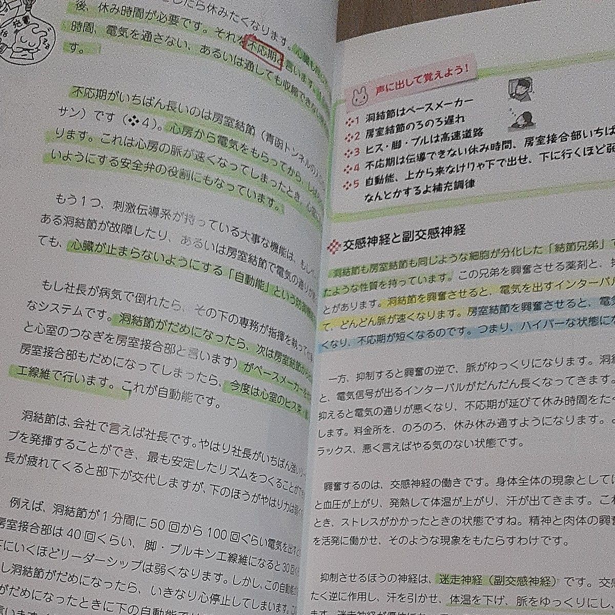 やりなおしの心電図・不整脈対応　不整脈発生！どうみる？医師にどう伝える？ （Ｓｍａｒｔ　ｎｕｒｓｅ　Ｂｏｏｋｓ　０２