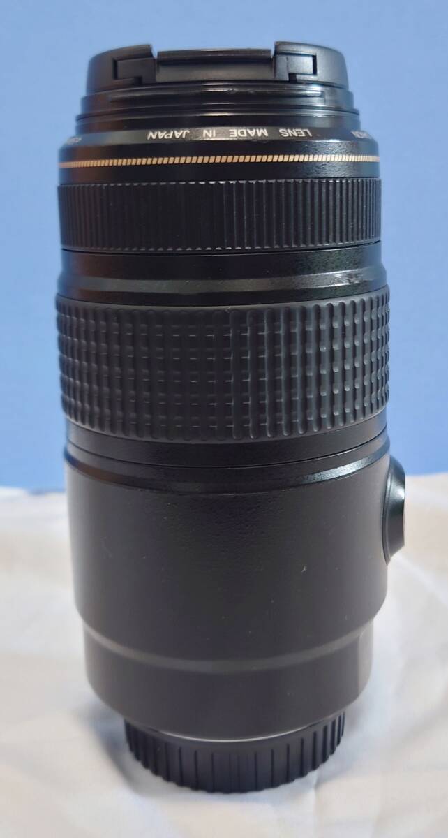 ★動作品★　キヤノン CANON EF 75-300mm F4-5.6 IS USM_画像6