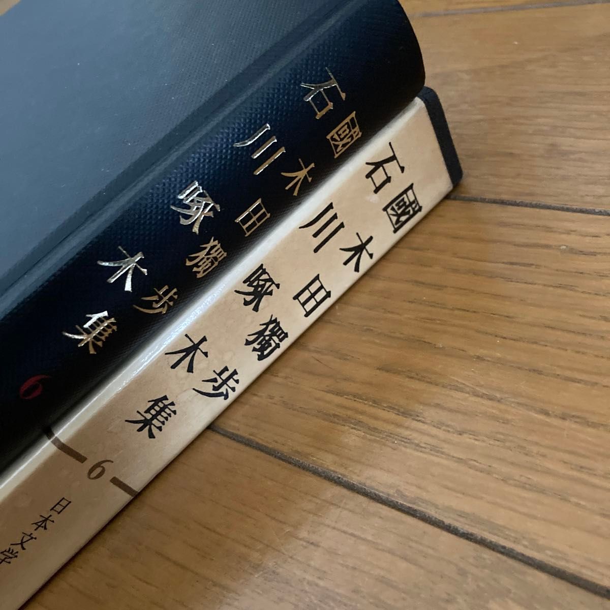 國木田獨歩　石川啄木集　筑摩書房　日本文学全集6 昭和50年